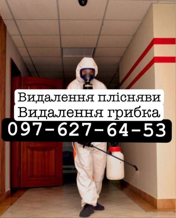 Видалення плісняви видалення грибка - дезінфекція - озонування