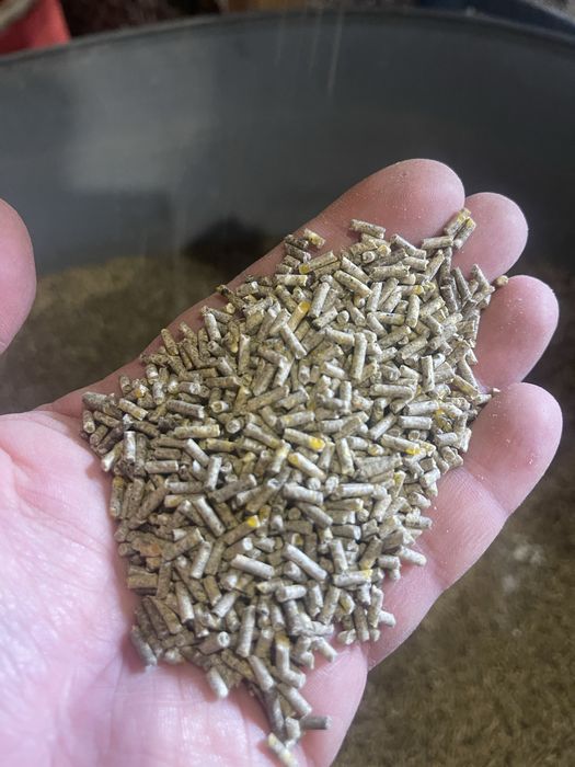 Якісний комбікорм для перепілок