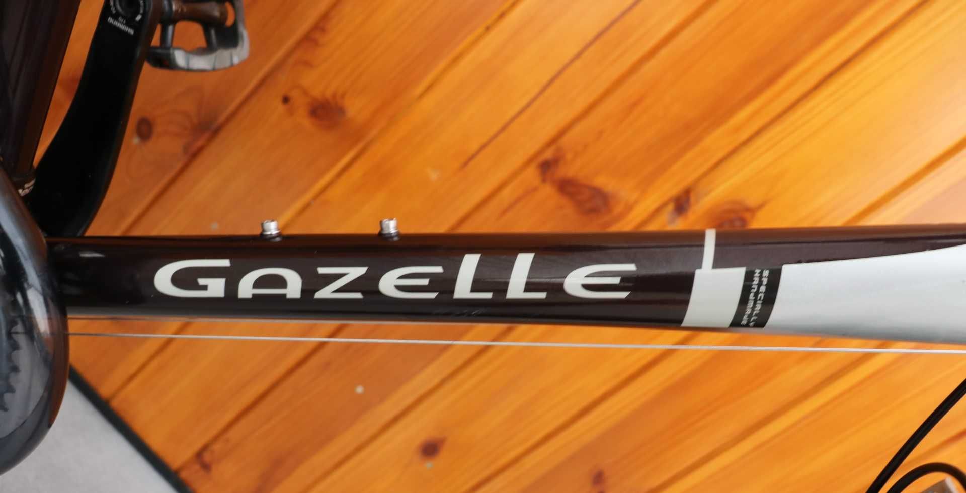 Rower męski Gazelle Geneve Gold Line. H 53. I inne rowery z Holandii