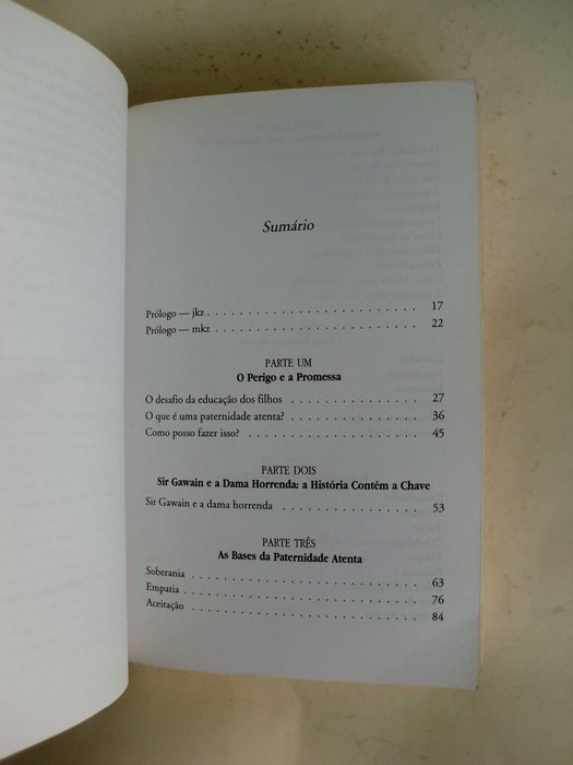 Nossos Filhos Nossos Mestres
de Myla e Jon Kabat-Zinn