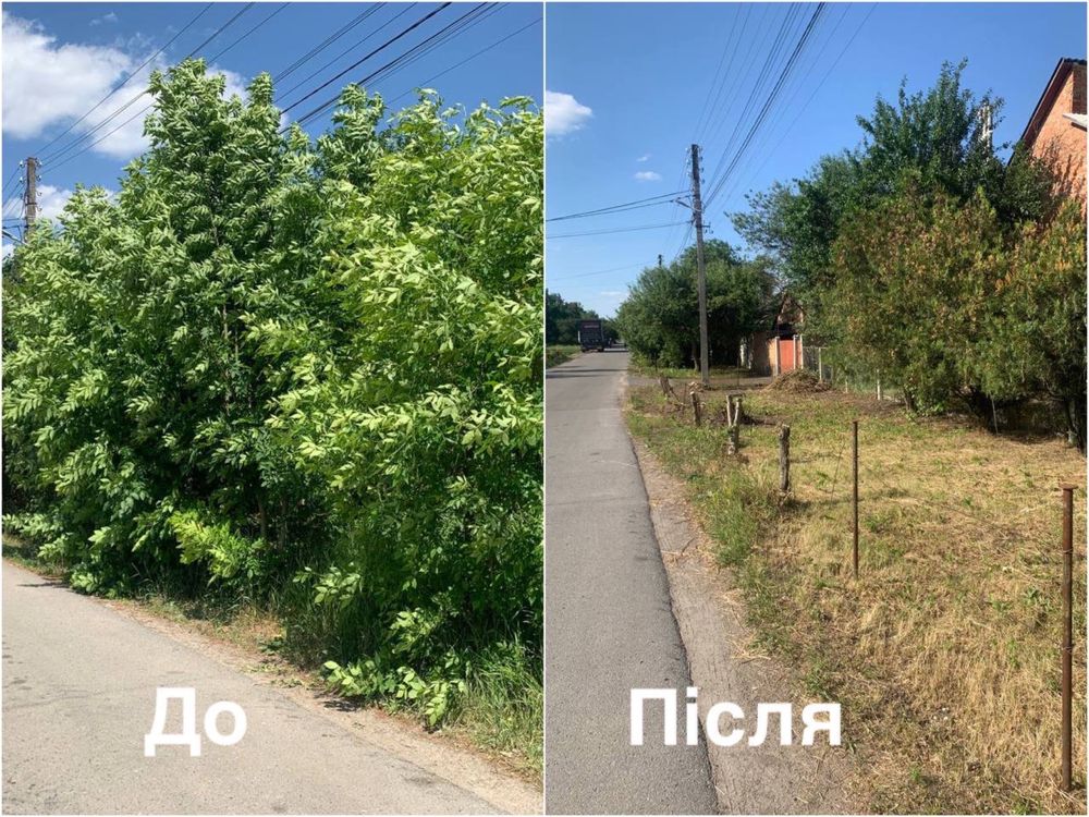 Покос травы, Косіння трави. Очистка участков.