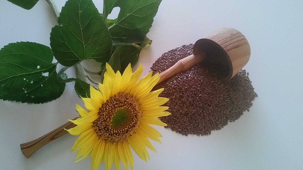 SIEMIE lniane mielone prosto z pola 1000g