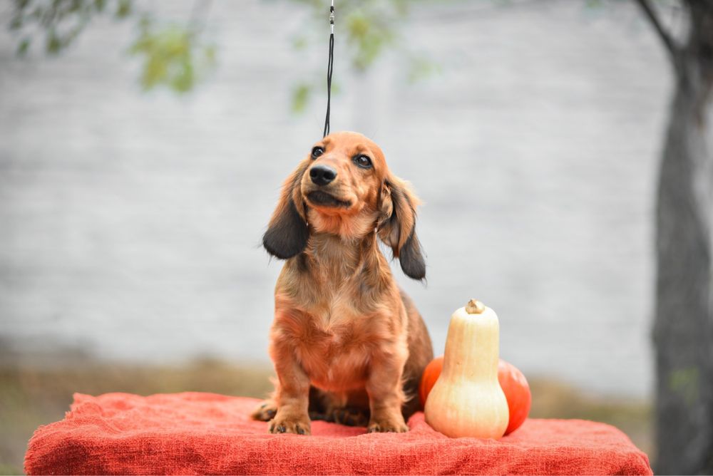 Хлопчина з документами