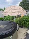 Parasol hawajski