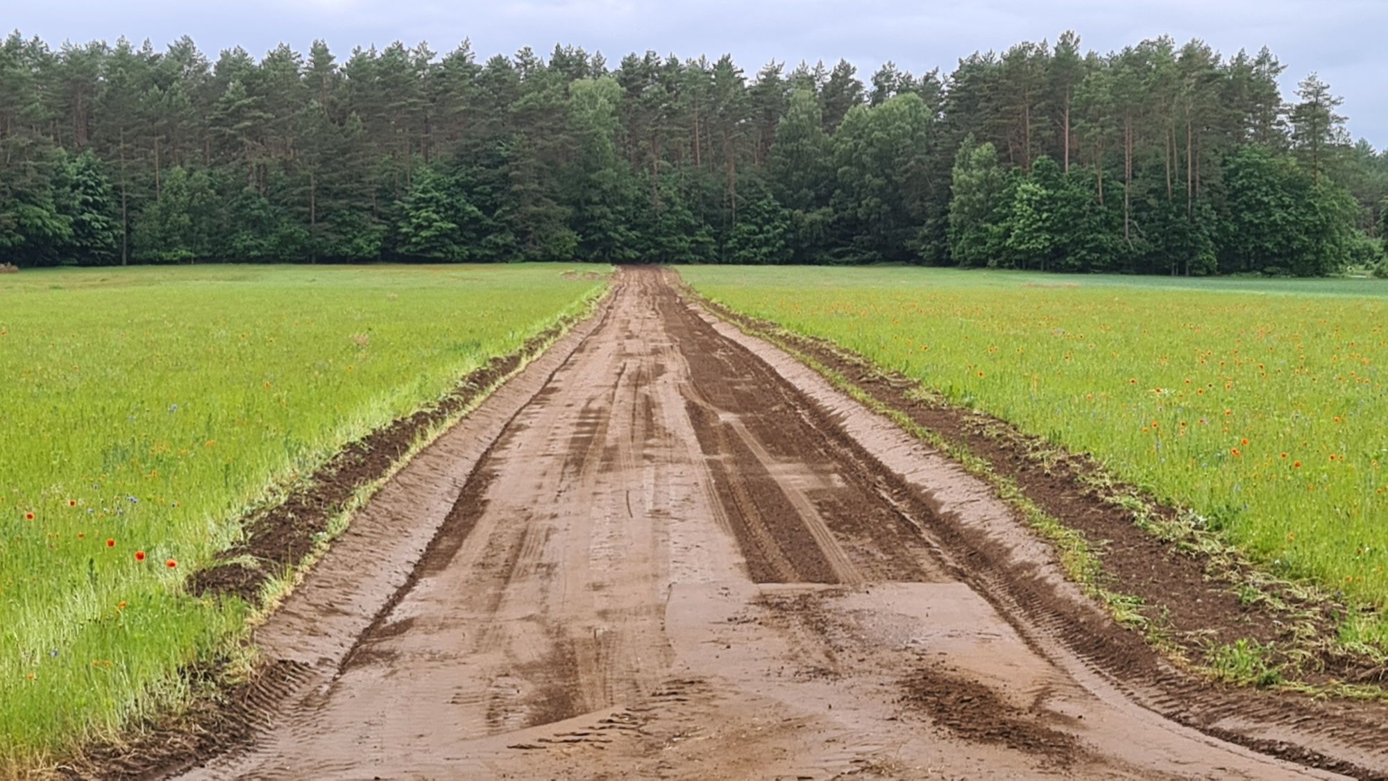 Droga płyty yomb torf place składowe gruz