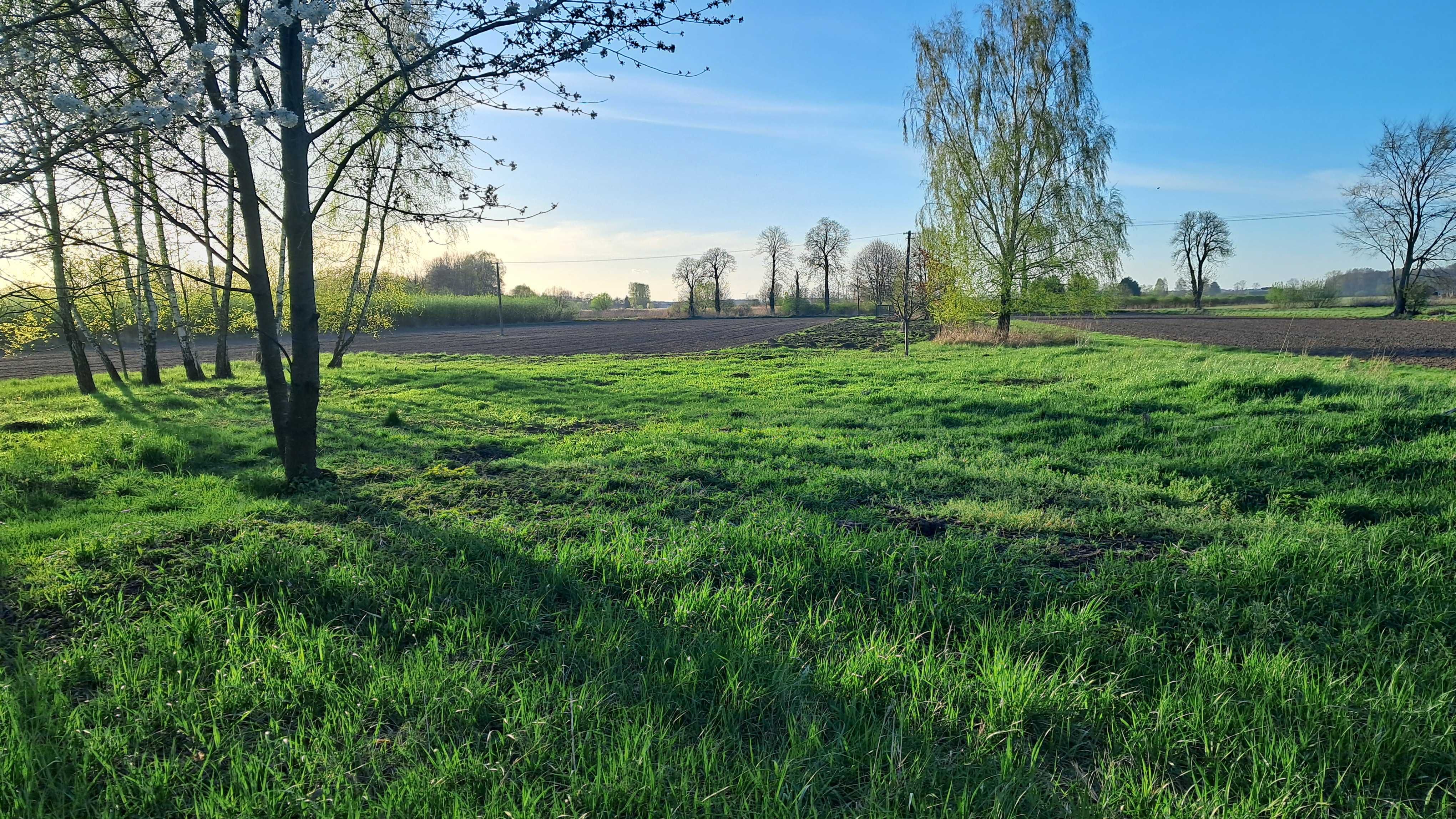 Działka rolno-budowlana