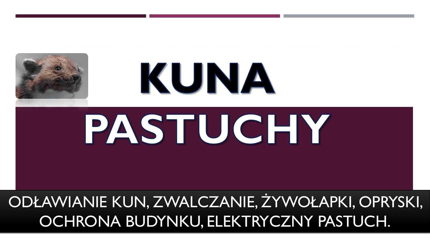 Pastuch elektryczny na kuny, montaż, kuna, odstraszanie,zabezpieczenie