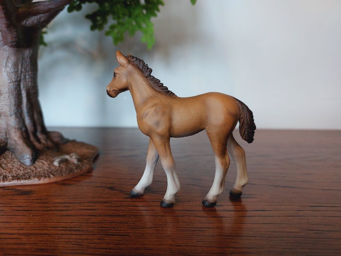 Źrebak hanowerski schleich