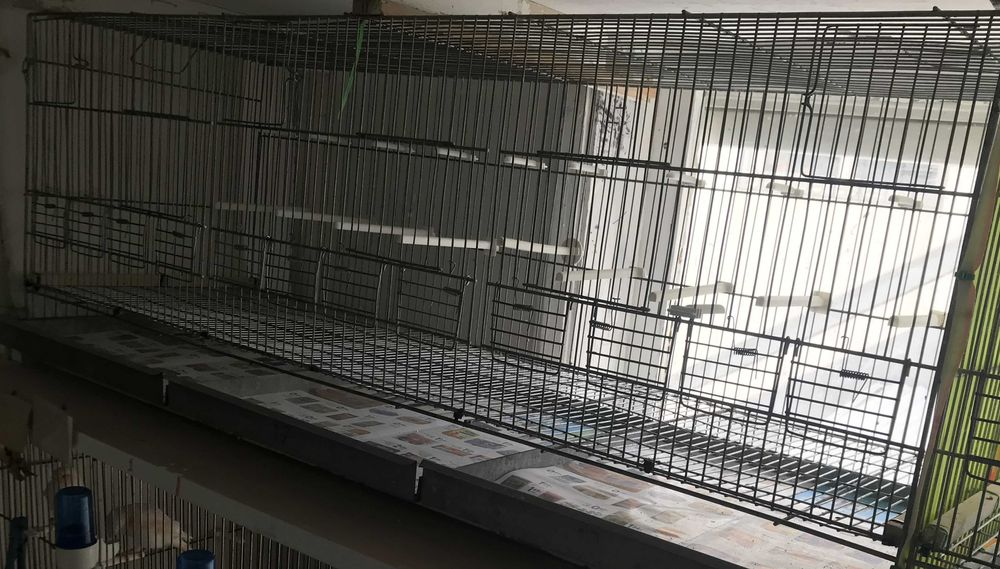 Gaiolas, criação, para canários.