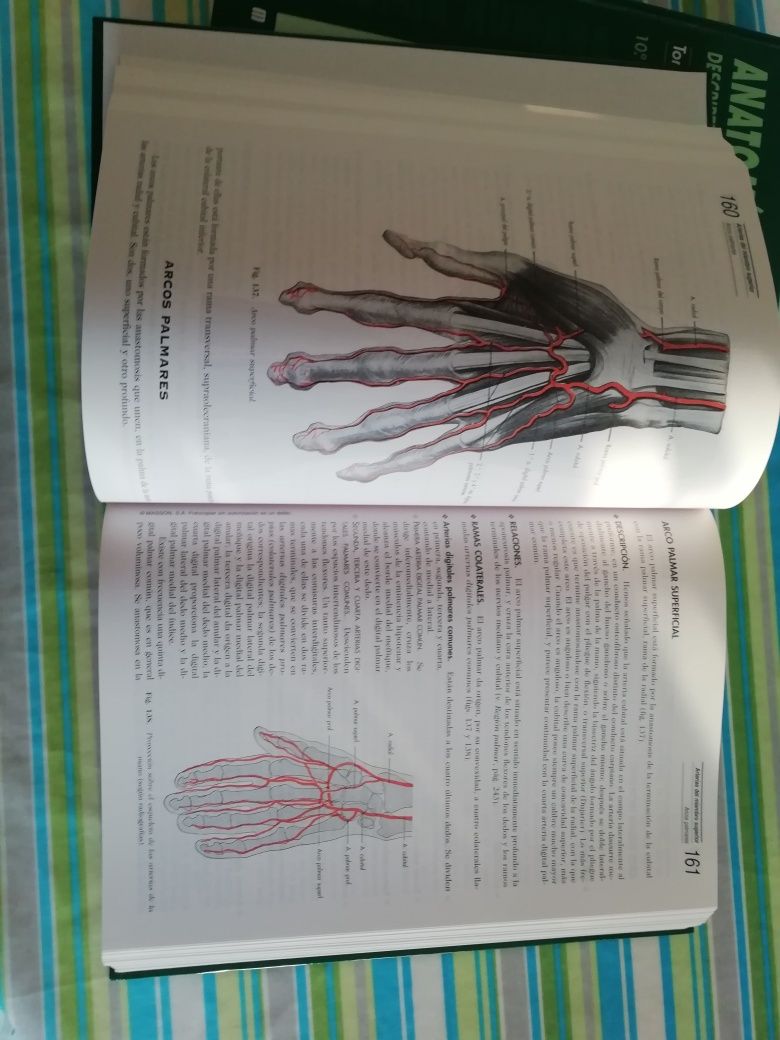 Anatomia Humana de Rouviere e Delmas - volume 3= membros e SNC