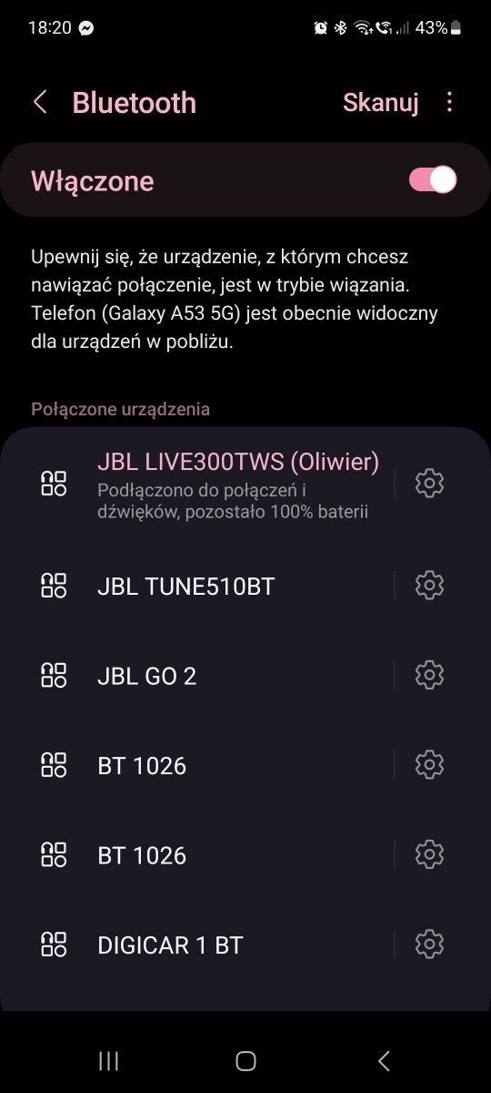 Słuchawki bezprzewodowe JBL LIVE300 TWS