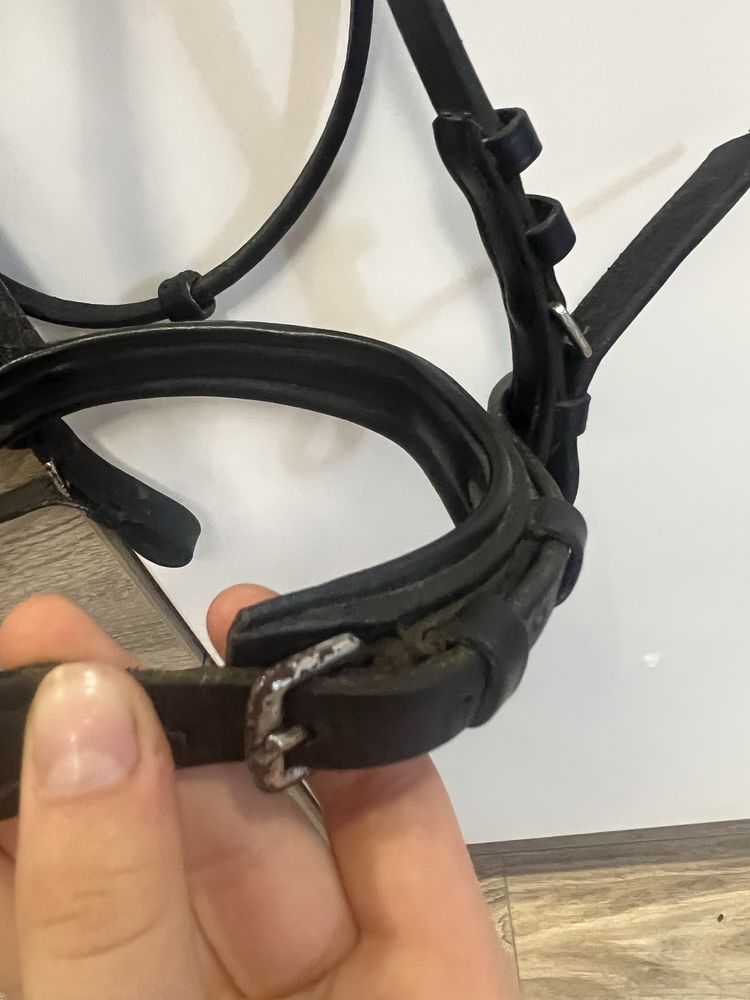 Ogłowie start z diamencikowym naczułkiem
