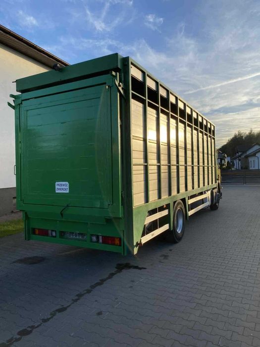 Zabudowa do bydła żywca zwierząt koni plavac zapała waga elektroniczna