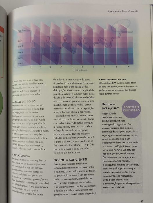 Cérebro e Sistema Nervoso Central