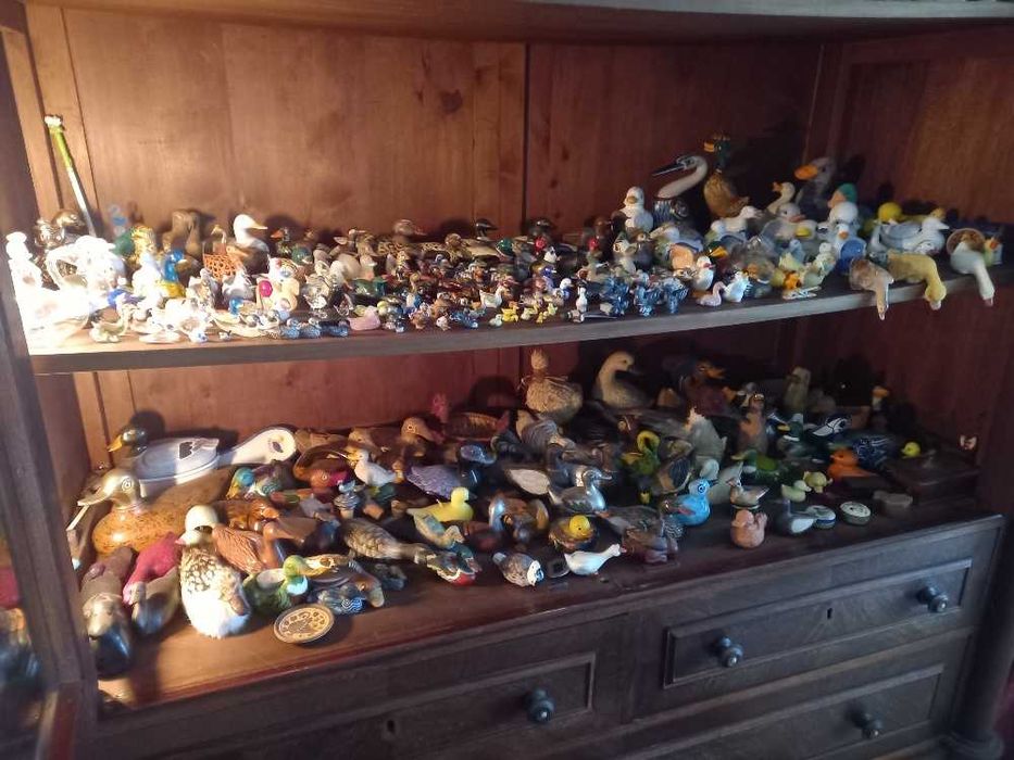 Patos decorativos para colecionadores
