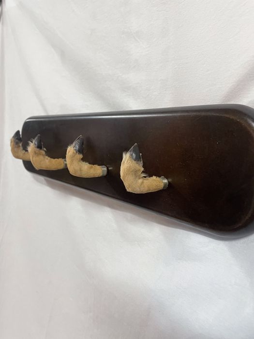 Cabide de madeira e cabrito