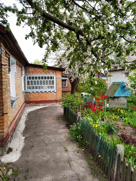 Продається будинок у  місті Козятин.