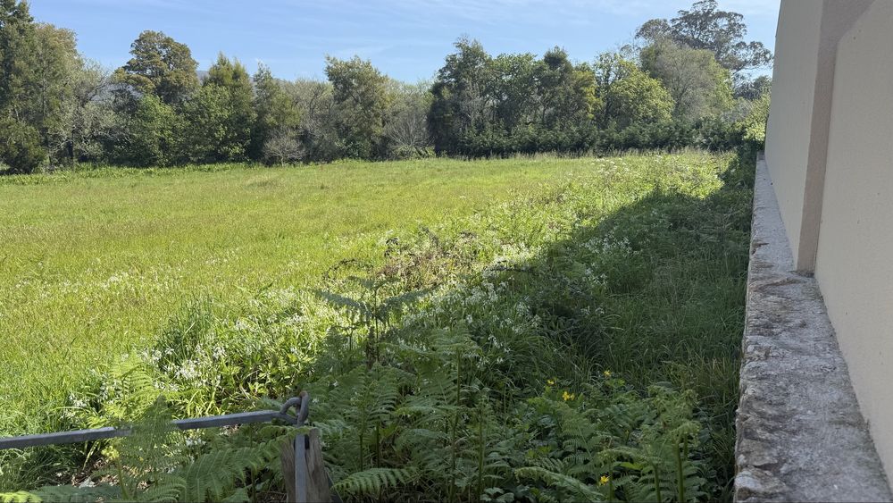 Terreno construção 7650m2 a 5 min da Praia de Ancora