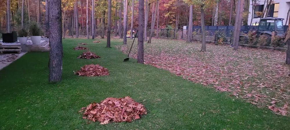 Grabienie lisci, sprzatanie ogrodu na zime, wywoz lisci