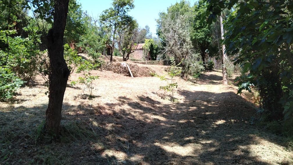 Terreno/quinta com pequena edificação