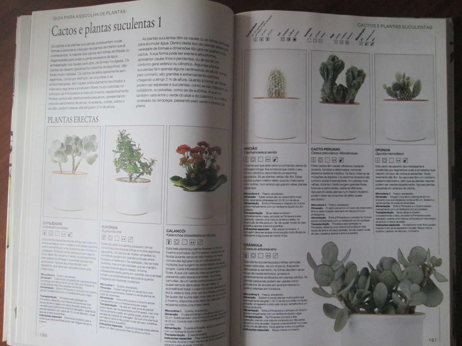 Livros Plantas de Jardim (colecção habitat) e O Jardim em Casa