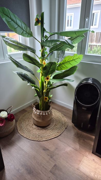 Candeeiro,bau ,flores decorativas