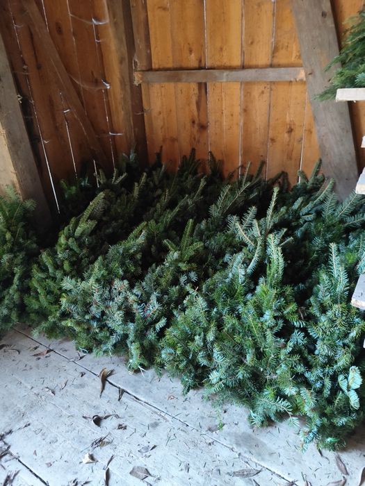 Ялинки (плетені/мотанки)із натуральної гілки