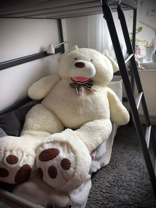 Wielki Miś Gustaw 190 cm