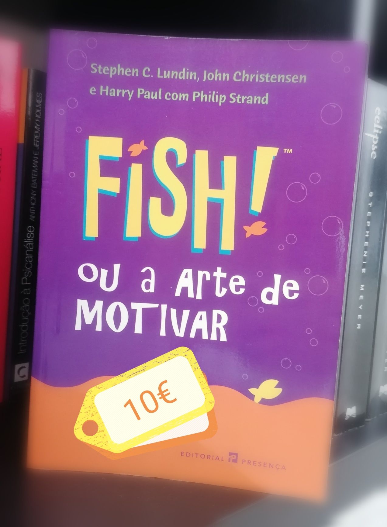 "Fish ou a Arte de MOTIVAR"