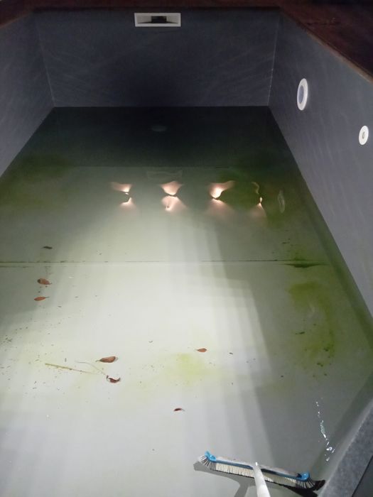 Jardinagem Piscinas limpeza terrenos