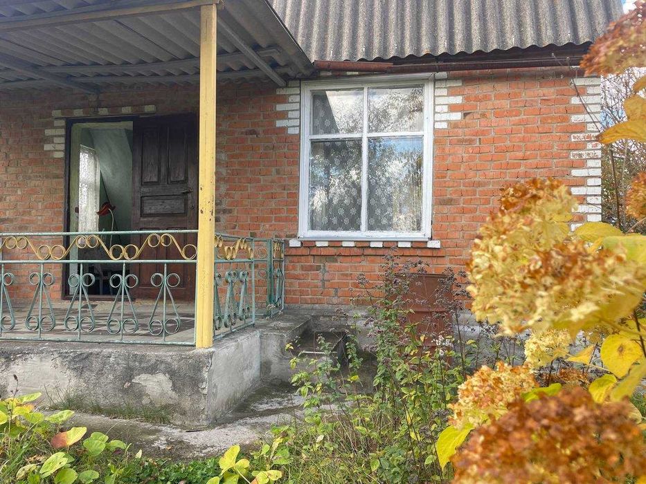 Продам будинок в с.Рибаче 7811