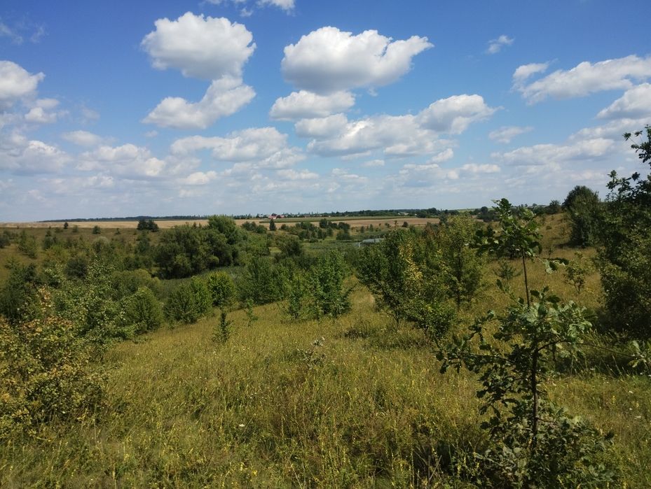 Будинок з усіма зручностями
