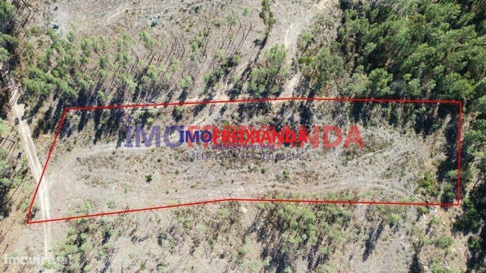Terreno em Freixianda