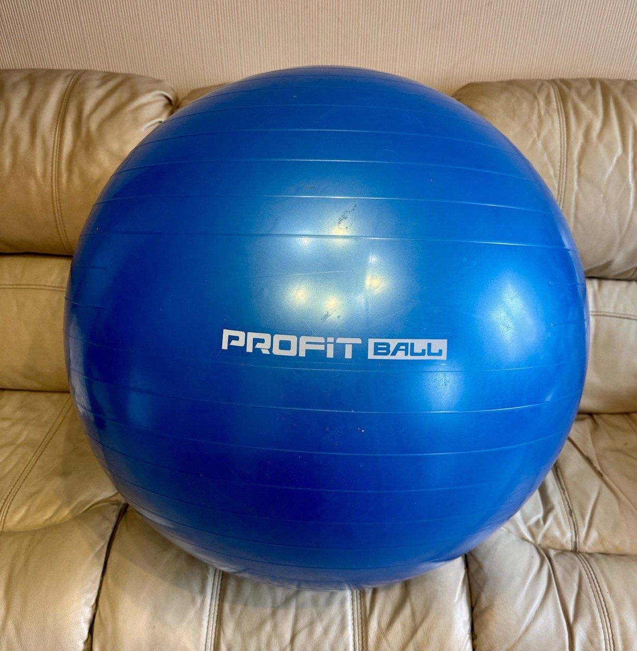 Мяч для фитнеса Profit Ball 75 см синий (фитбол, гимнастический мяч )