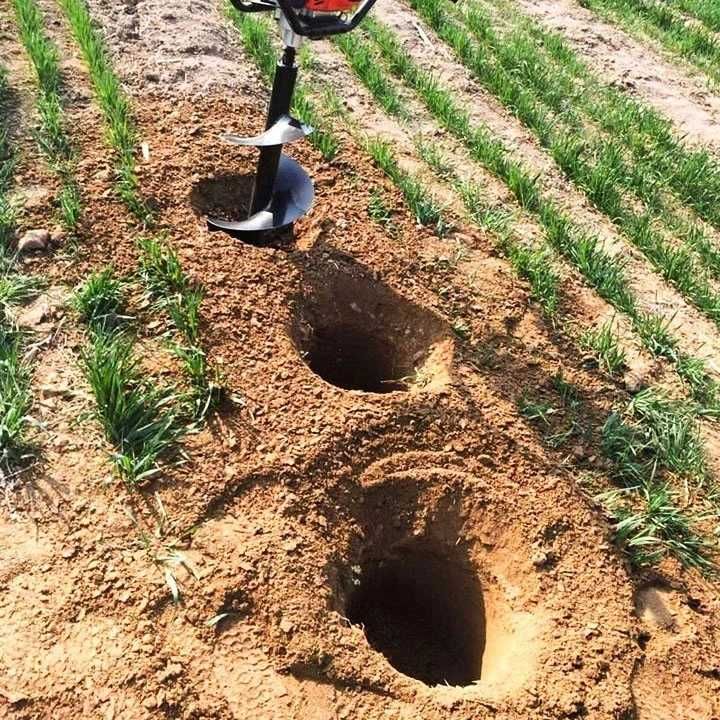 Wynajem wiertnica spalinowa świder 5.2km najem 49zł doba wypożyczalnia