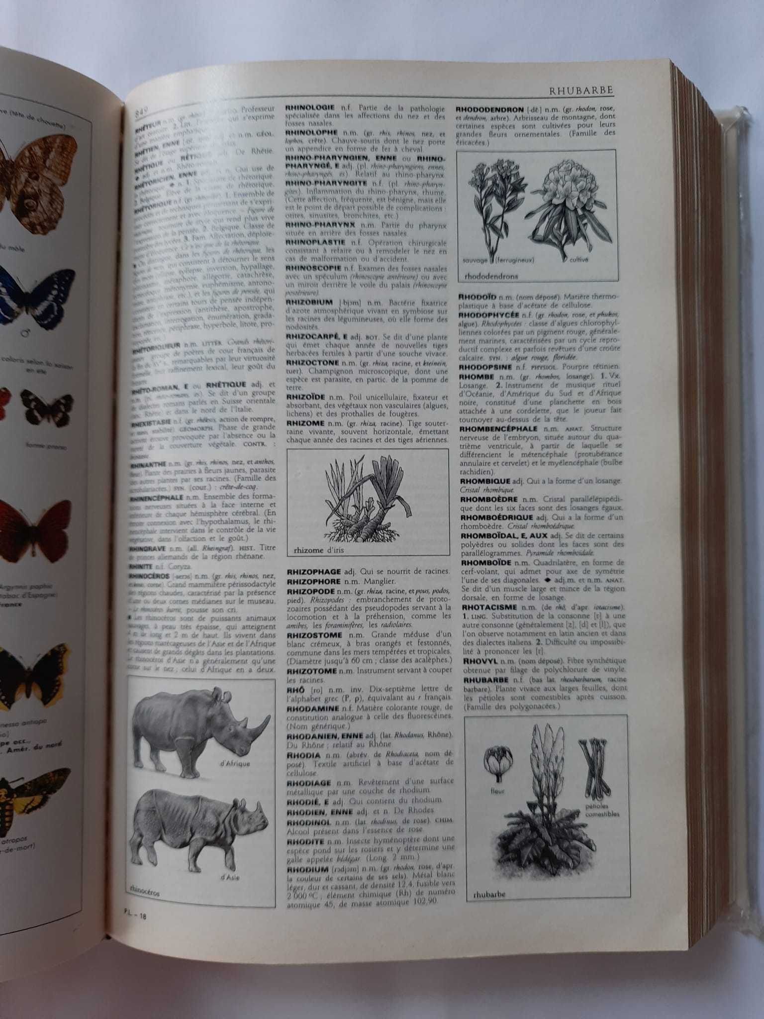 Petit Larousse illustre 1989