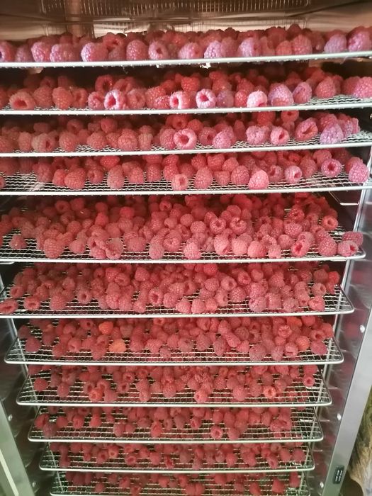 Ягоди малини сушені малина сушена 2025 р. 300 грам