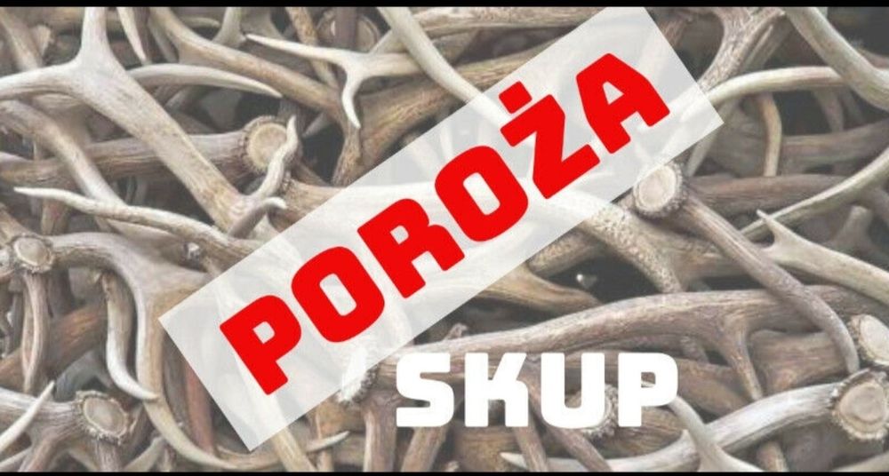 Skup poroża zrzutów wieńcy jelena daniela łosia