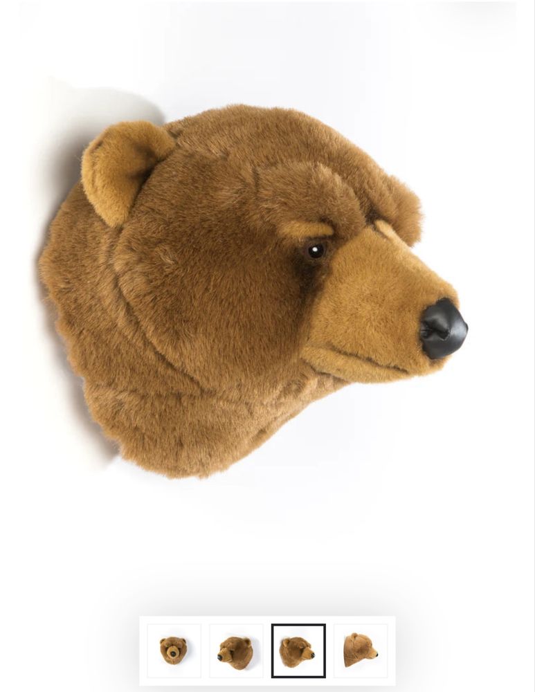 Urso peluche parede