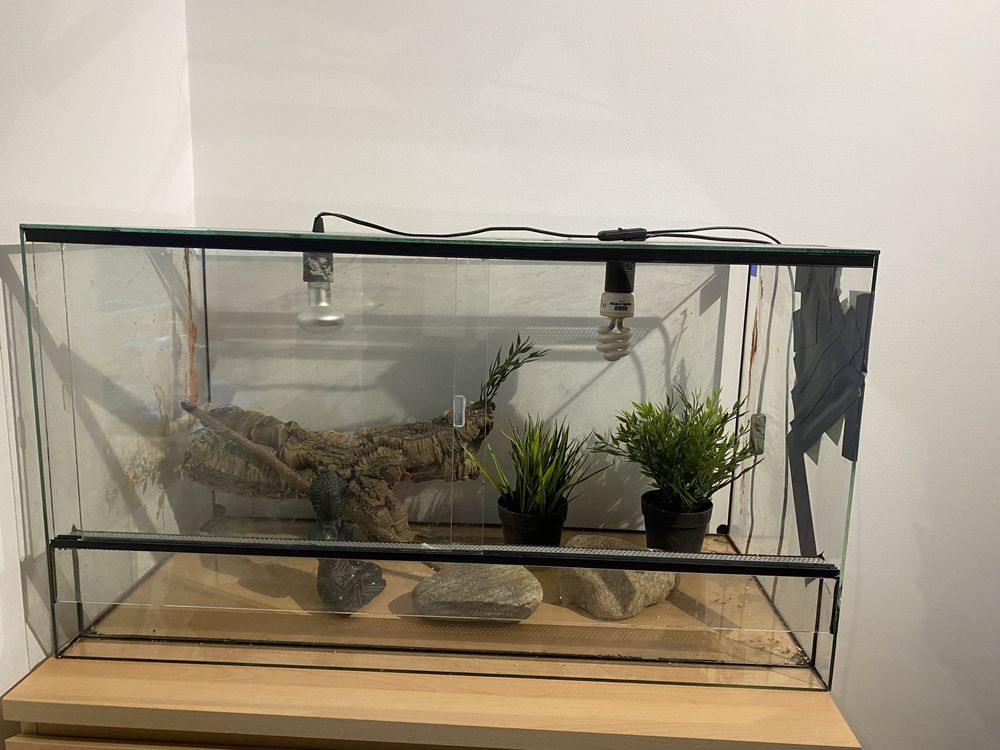 Terrarium z lampą grzewczą oraz UVB 80*40*40