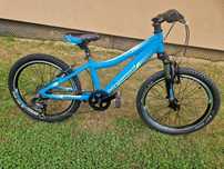 Rower dziecięcy Bergamont Team 20" Kids Race