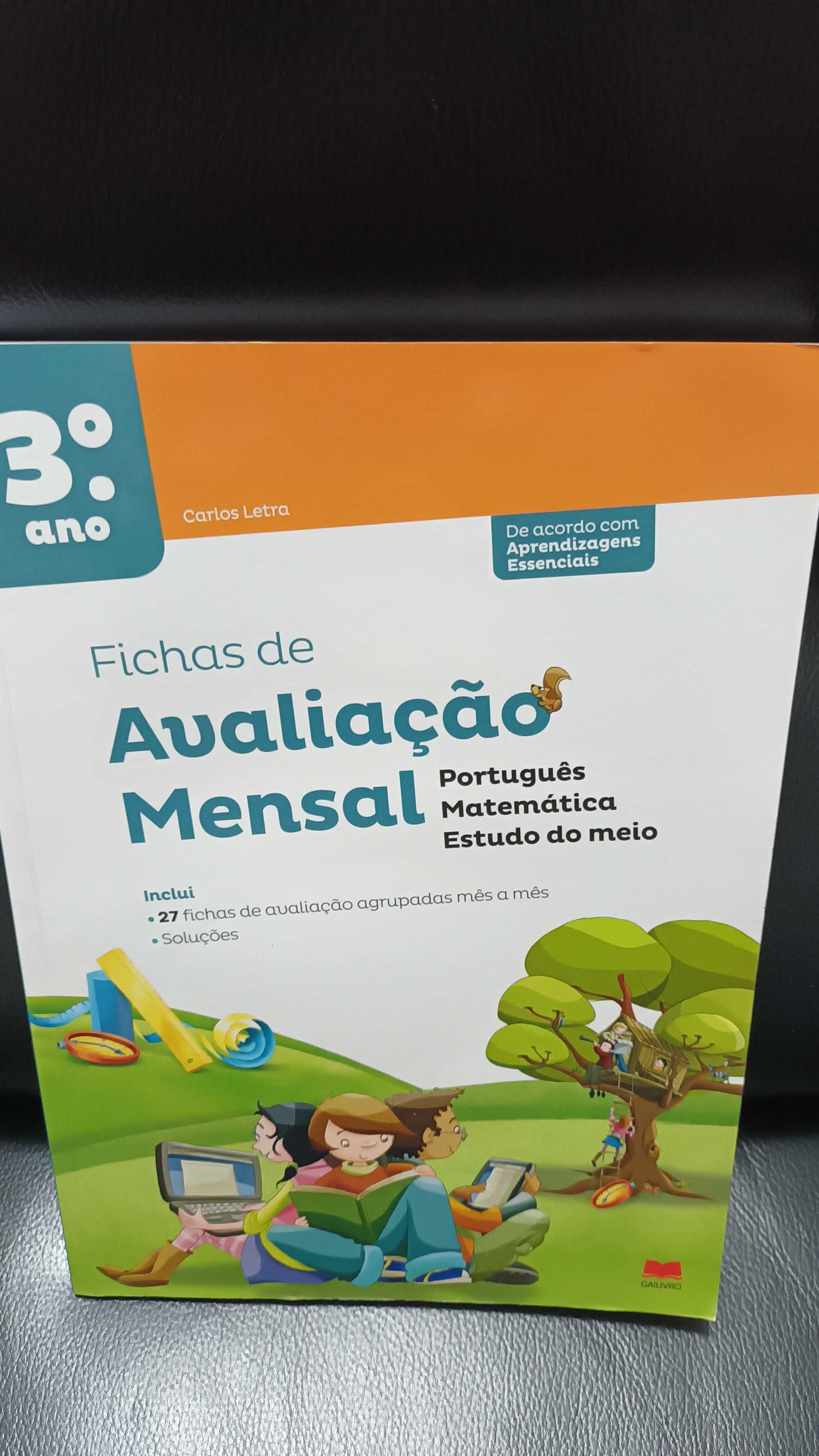 Fichas de avaliação mensal 3  ano
