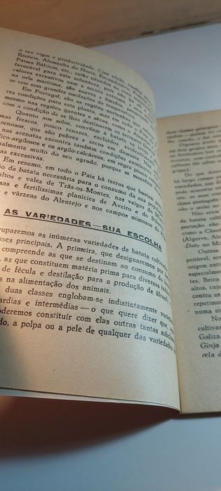 Cultura da Batata - José Justino de Amorim (1943)