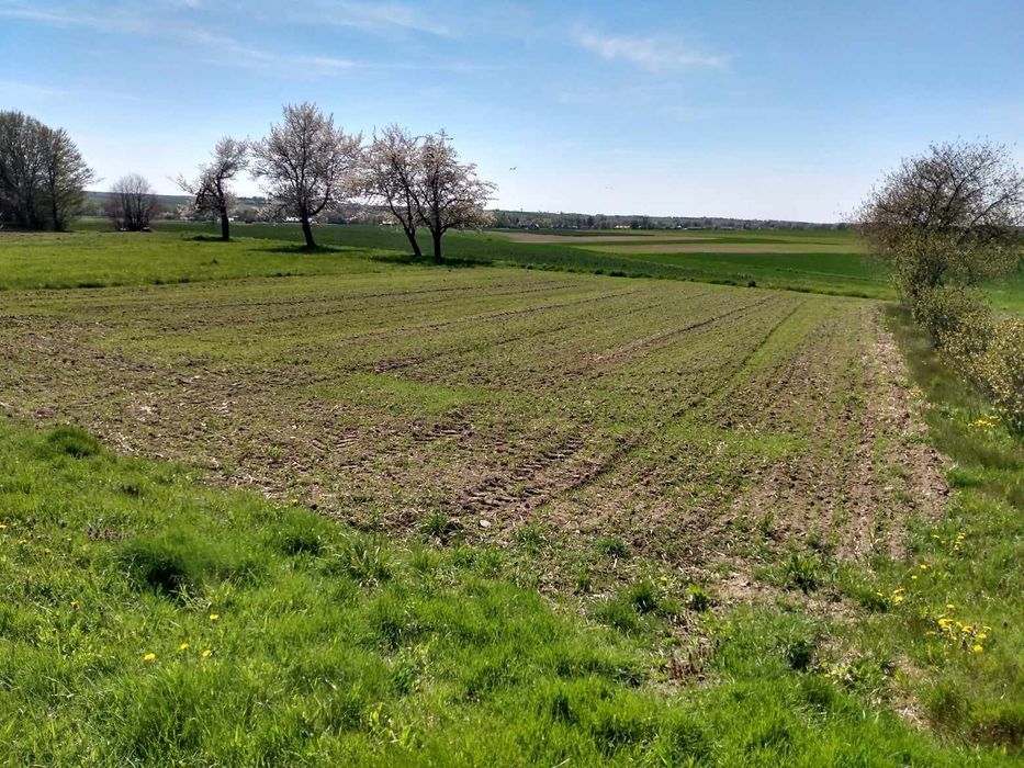 Sprzedam Działkę  12a