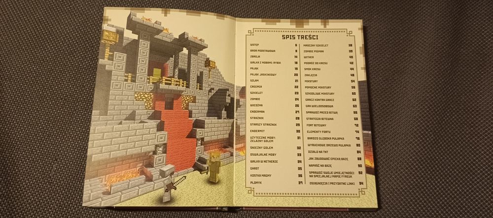 Książka Minecraft: Poradnik dla Wojowników
