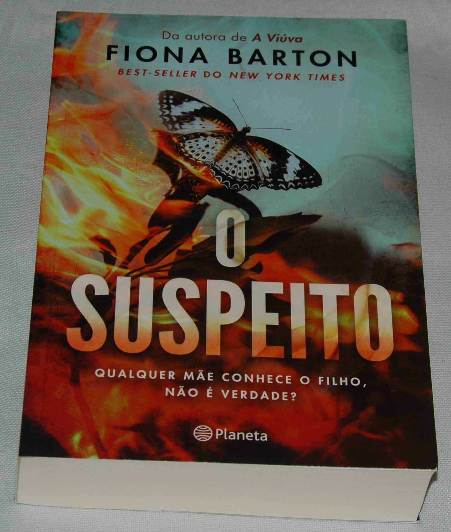 O Suspeito de Fiona Barton (novo)(NOVO)
