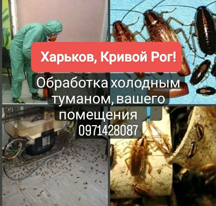 Потравить, уничтожить,избавится от тараканов,клопов ,насекомых