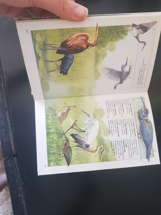 Philippe Dupont Mała Księga Zwierząt