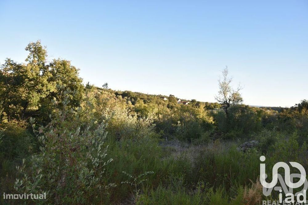 Terreno Agrícola em Chãos