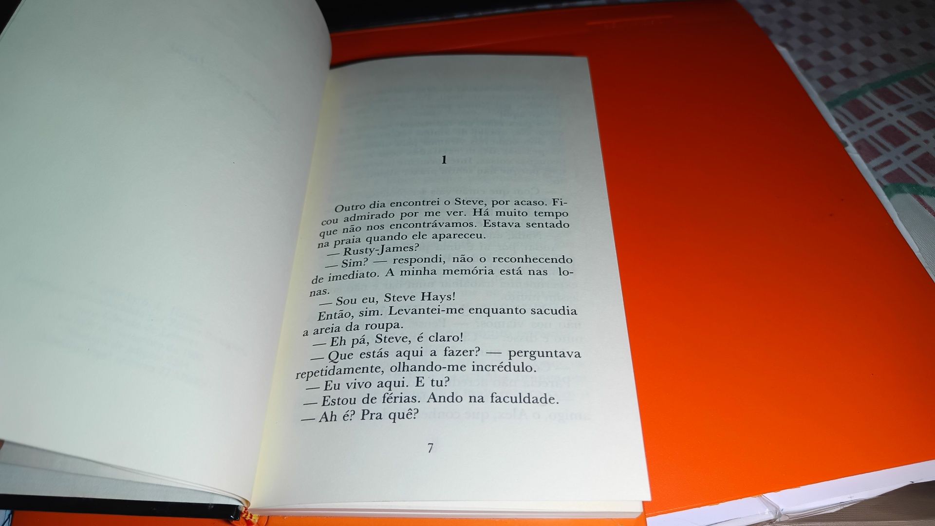 Juventude Inquieta_S.E.Hinton